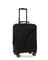 NIGHTFLIGHT G800 JETSETTER CARRY-ON LUGGAGE