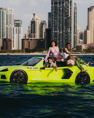 SHARKS IN PARIS COASTAL TOTE