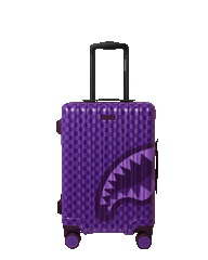 ALL SYSTEMS GO CARRY-ON LUGGAGE