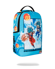 DRAGON BALL Z SUPER SAIYAN BLUE GOKU AND VEGETA