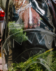 CLEAR BACKPACK - SHARK CENTRAL