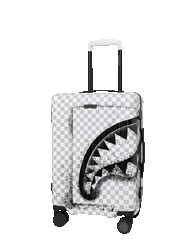 STORM FADE CARRY-ON LUGGAGE