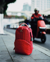 SKYCHAIN SUPPLYCHAIN BACKPACK